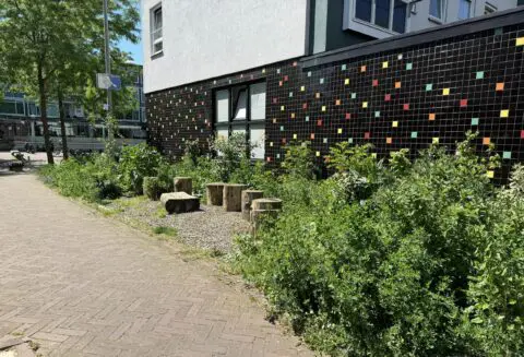 Foto van de Groene Route in Malburgen. Stenen zijn verwijderd en er zijn planten voor in de plaats gekomen.