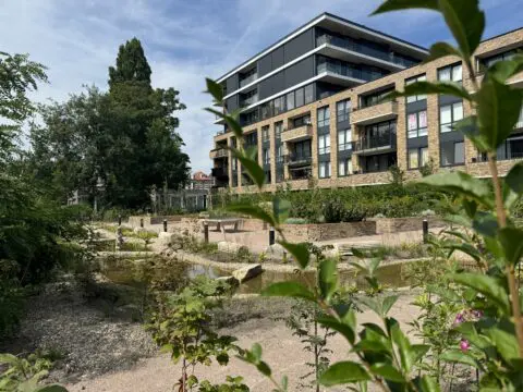 Rietgrachtpark na herinrichting