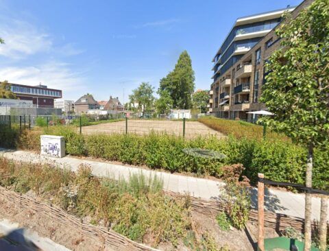 Rietgrachtpark voor inrichting