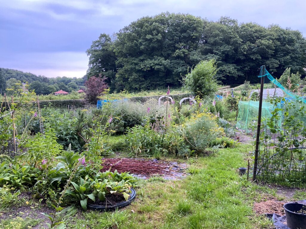 Volkstuinvereniging de Heselbergh: verschillende moestuinen waarop groente wordt verbouwd.
